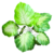 fundo verde claro