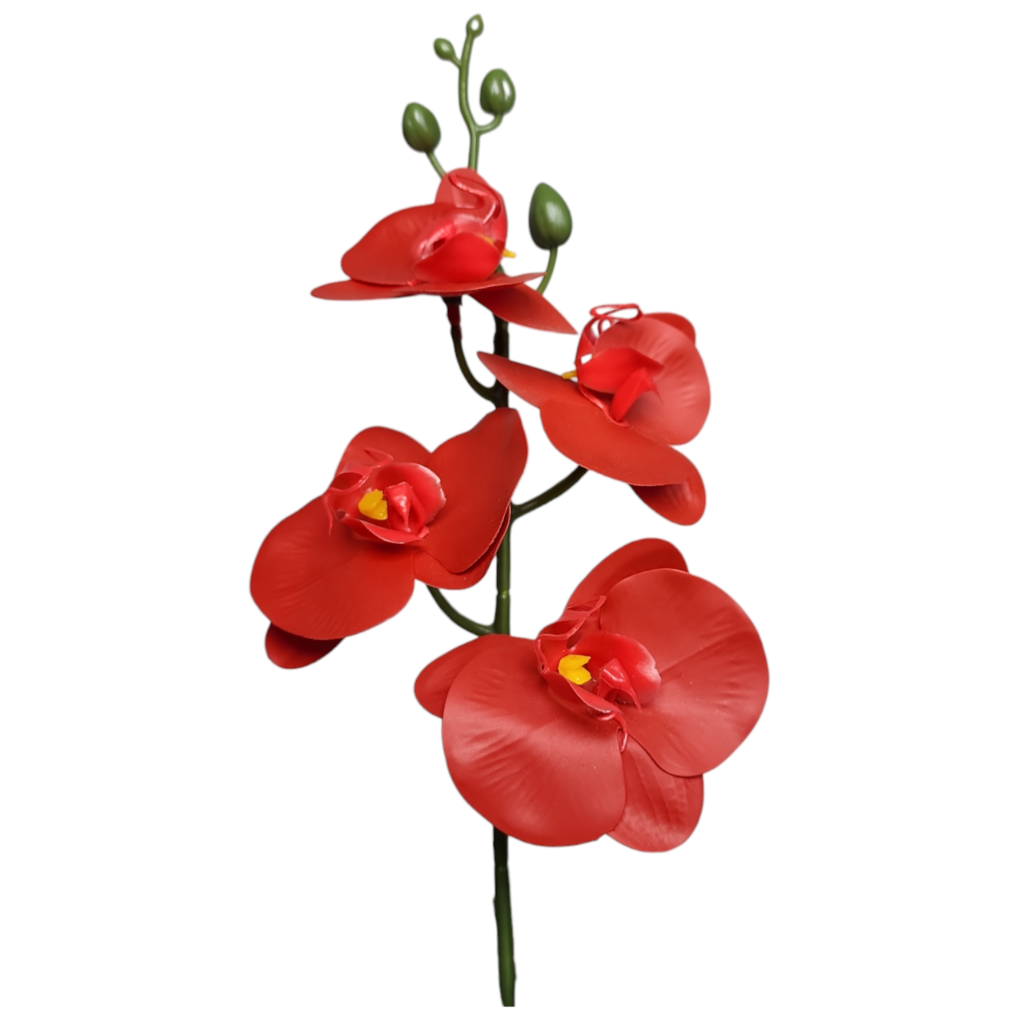 Arranjo de Mini Orquidea Vermelha Vaso cerâmica kalachoe preto - Imagem 2