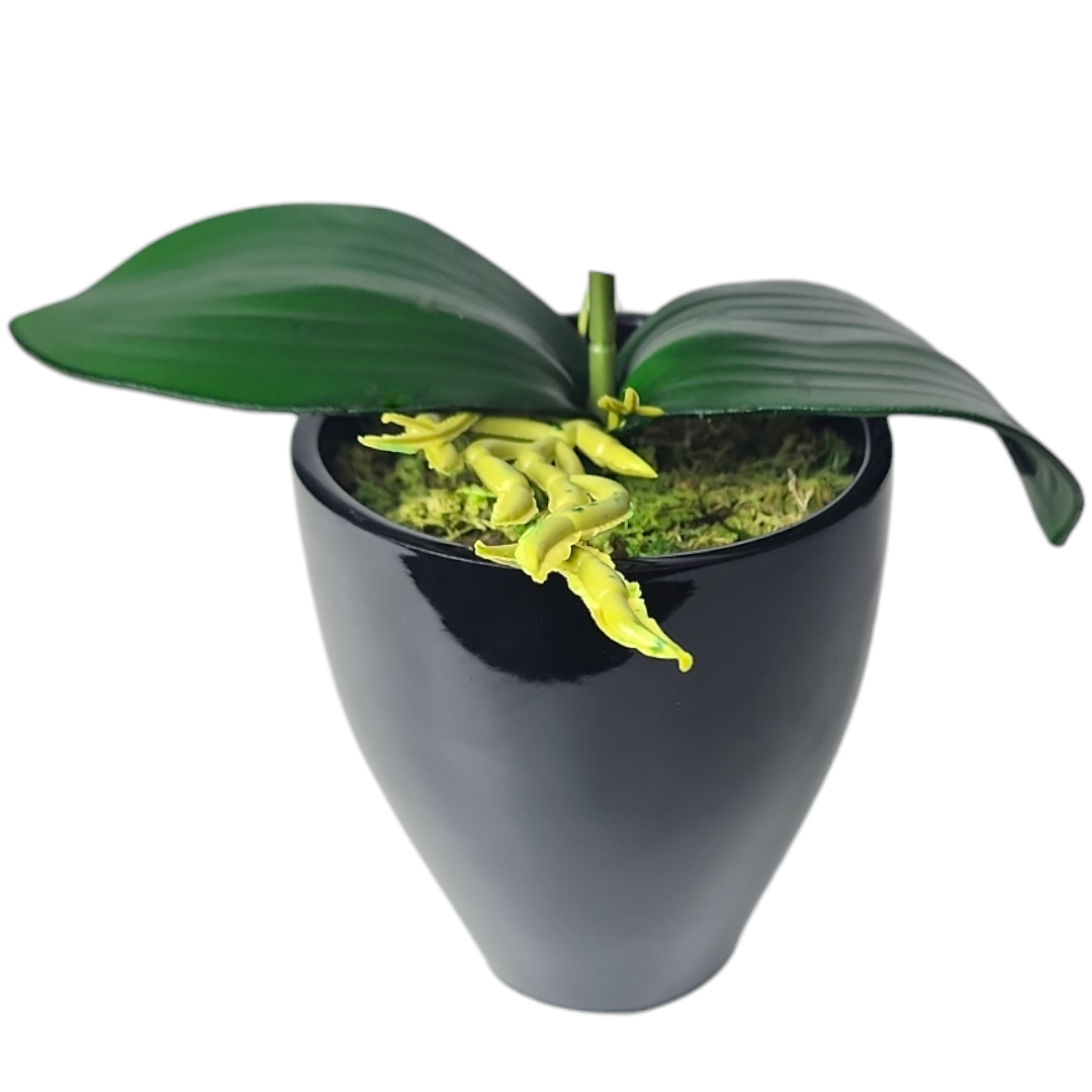 Arranjo de Mini Orquidea Vermelha Vaso cerâmica kalachoe preto - Imagem 3