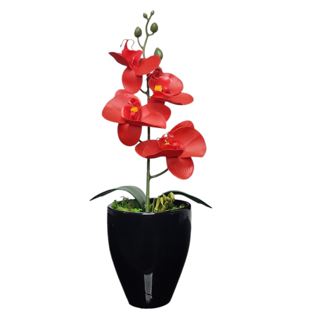 Arranjo de Mini Orquidea Vermelha Vaso cerâmica kalachoe preto