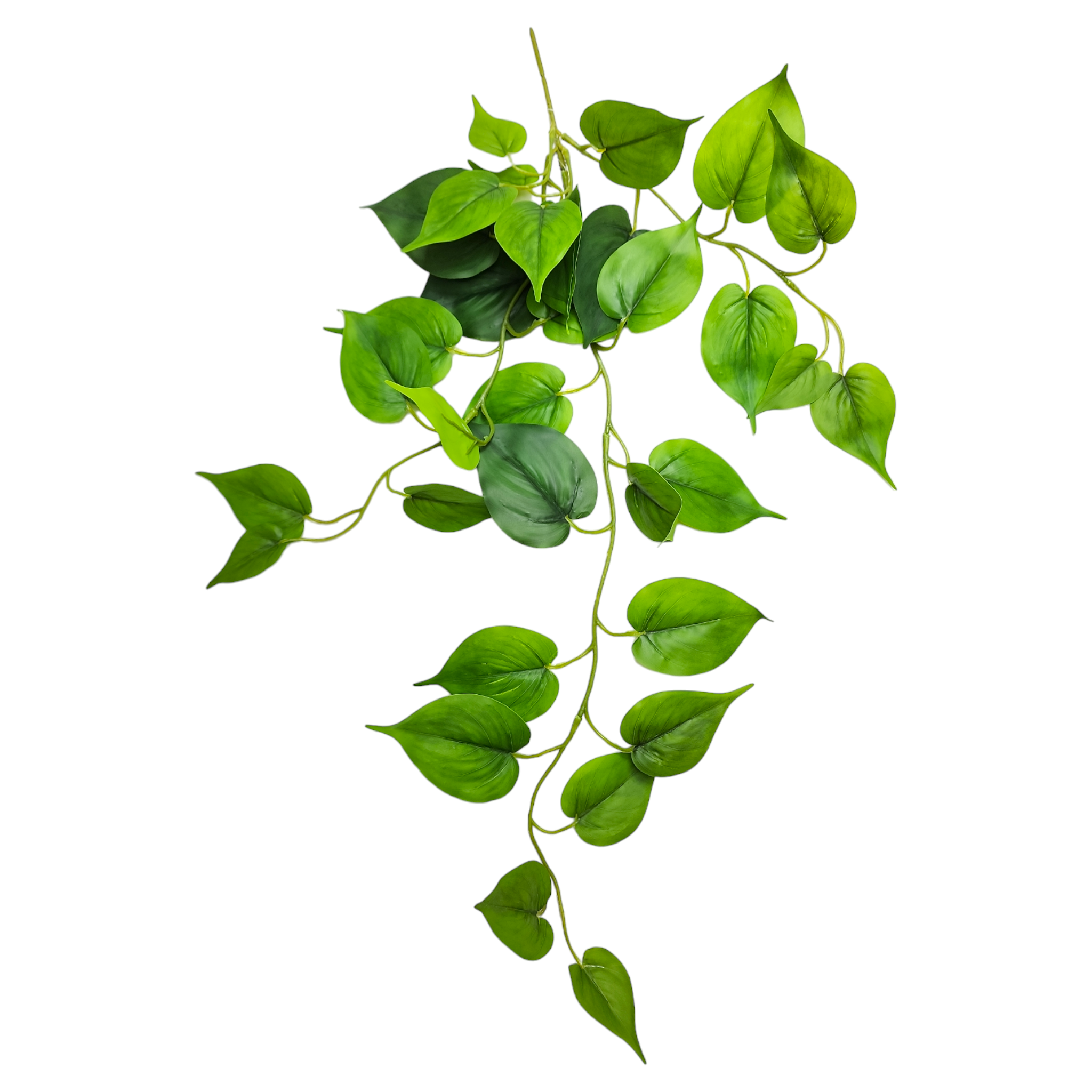 Arranjo de pendente jiboia vaso cerâmica bowl branco brilho P - Imagem 3