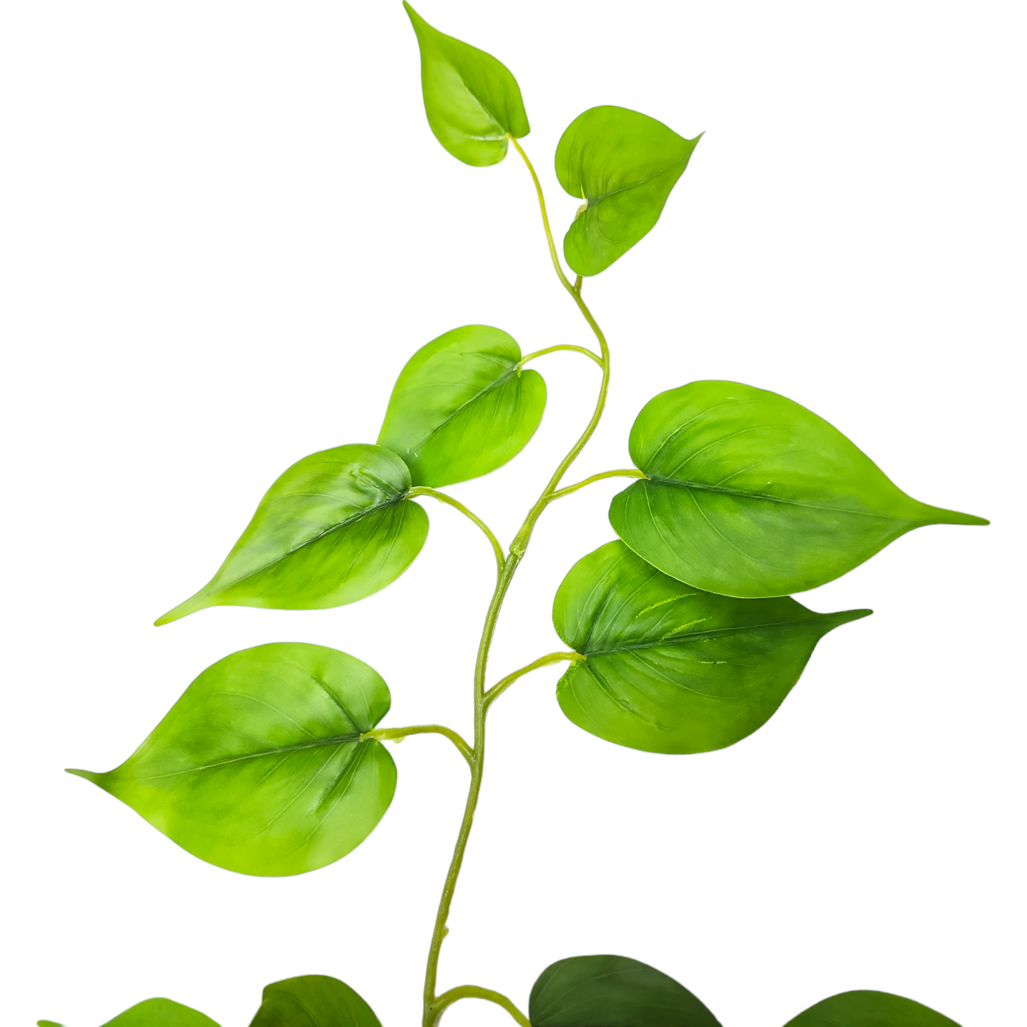 Arranjo de pendente jiboia vaso cerâmica bowl branco brilho P - Imagem 4