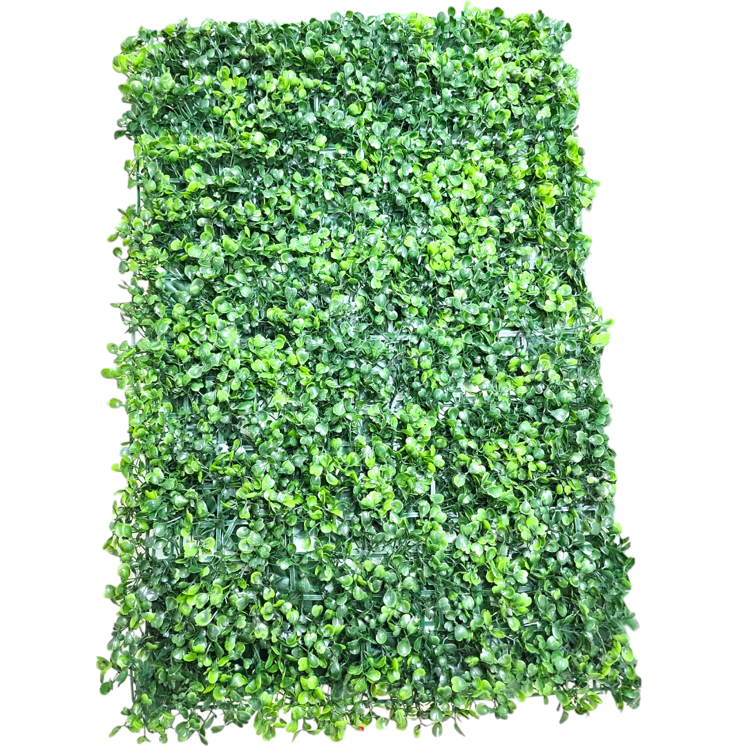 Placa Grama Amendoim 60cm x 40 cm