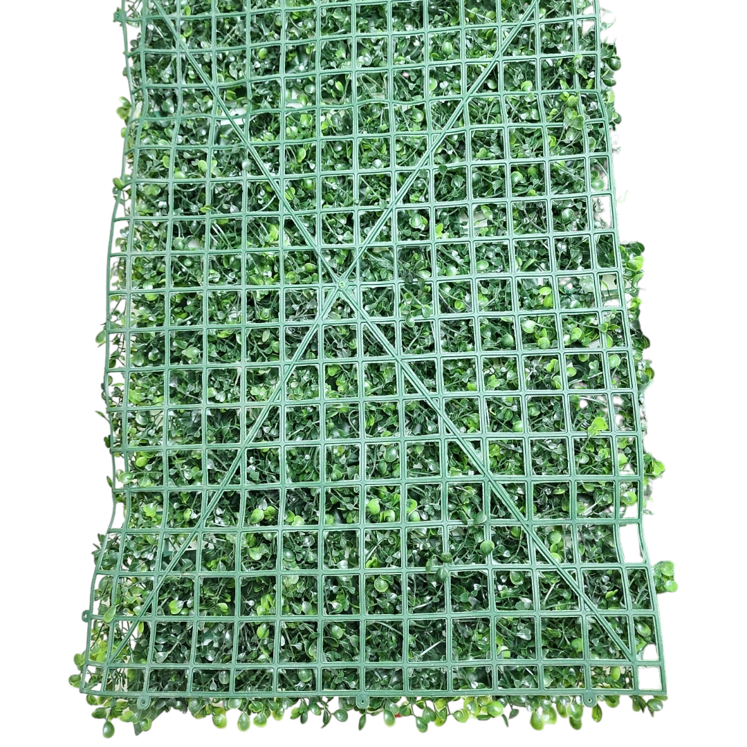 Placa Grama Amendoim 60cm x 40 cm - Imagem 3