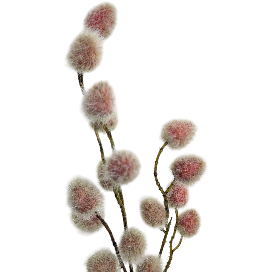 Haste Erigium outonada A67Cm x L20Cm - Imagem 2